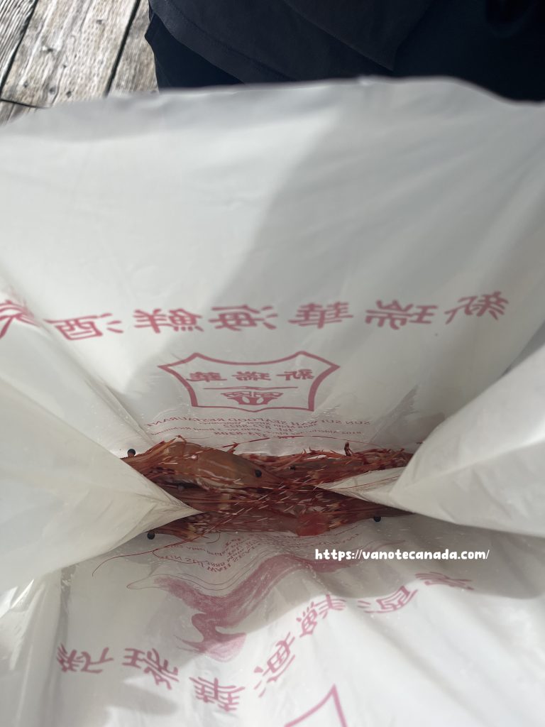 斑點蝦 Spot Prawns